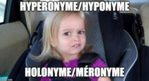 Lire la suite à propos de l’article Hyperonyme, hyponyme, holonyme, méronyme… Qu’est-ce que c’est ?