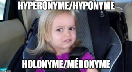 Lire la suite à propos de l’article Hyperonyme, hyponyme, holonyme, méronyme… Qu’est-ce que c’est ?