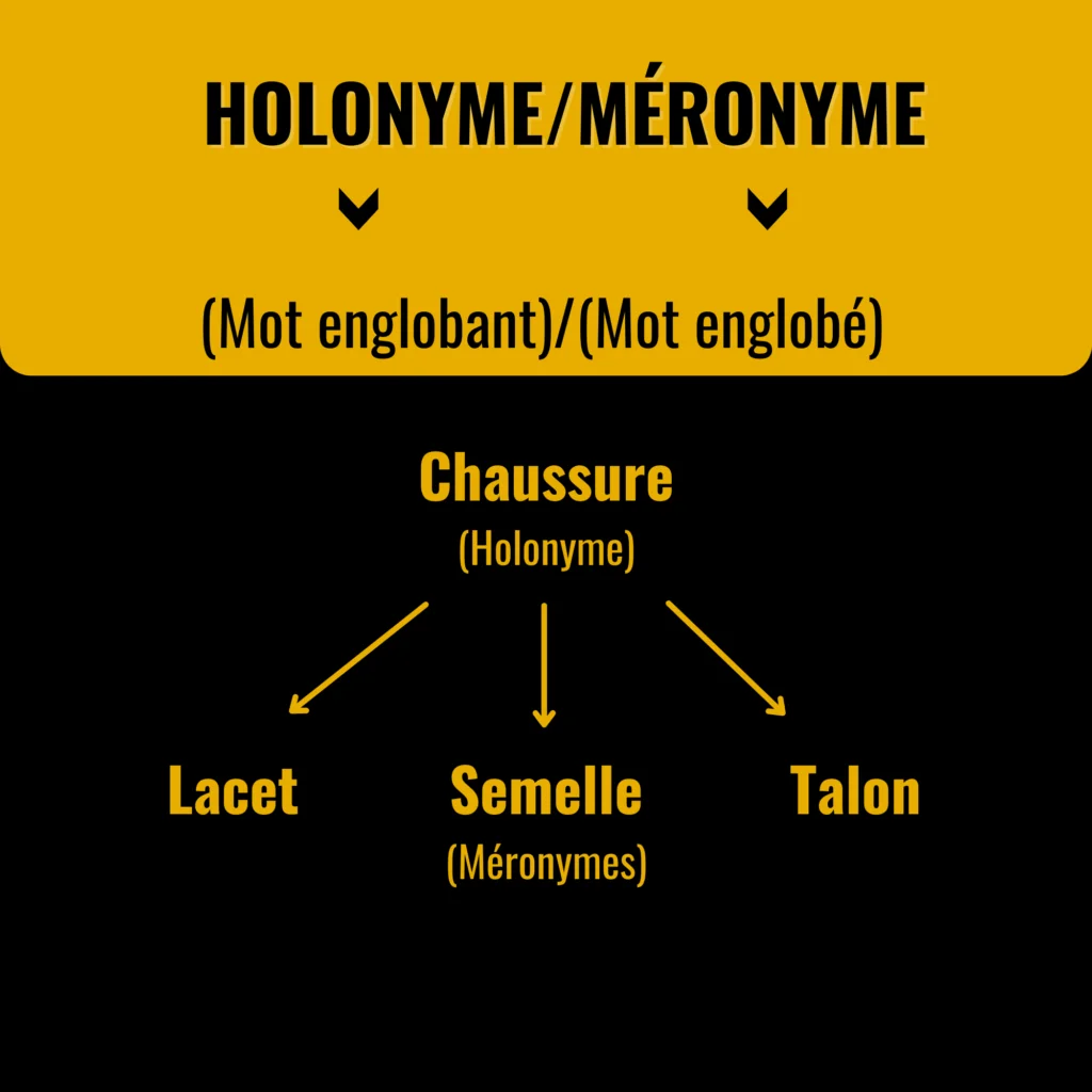 mot-clé-holonyme-méronyme