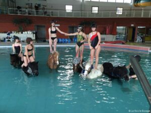 Black Hat aquaponey IA